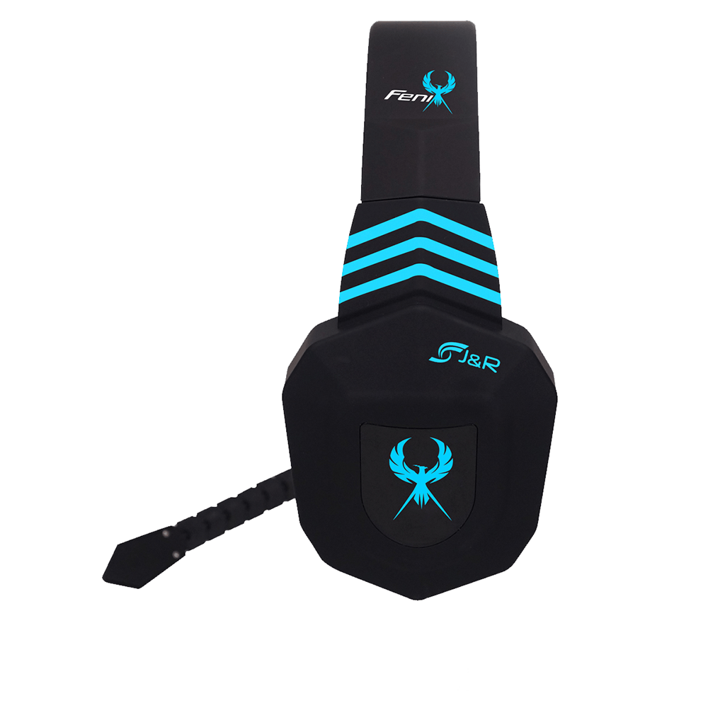 fenix 9