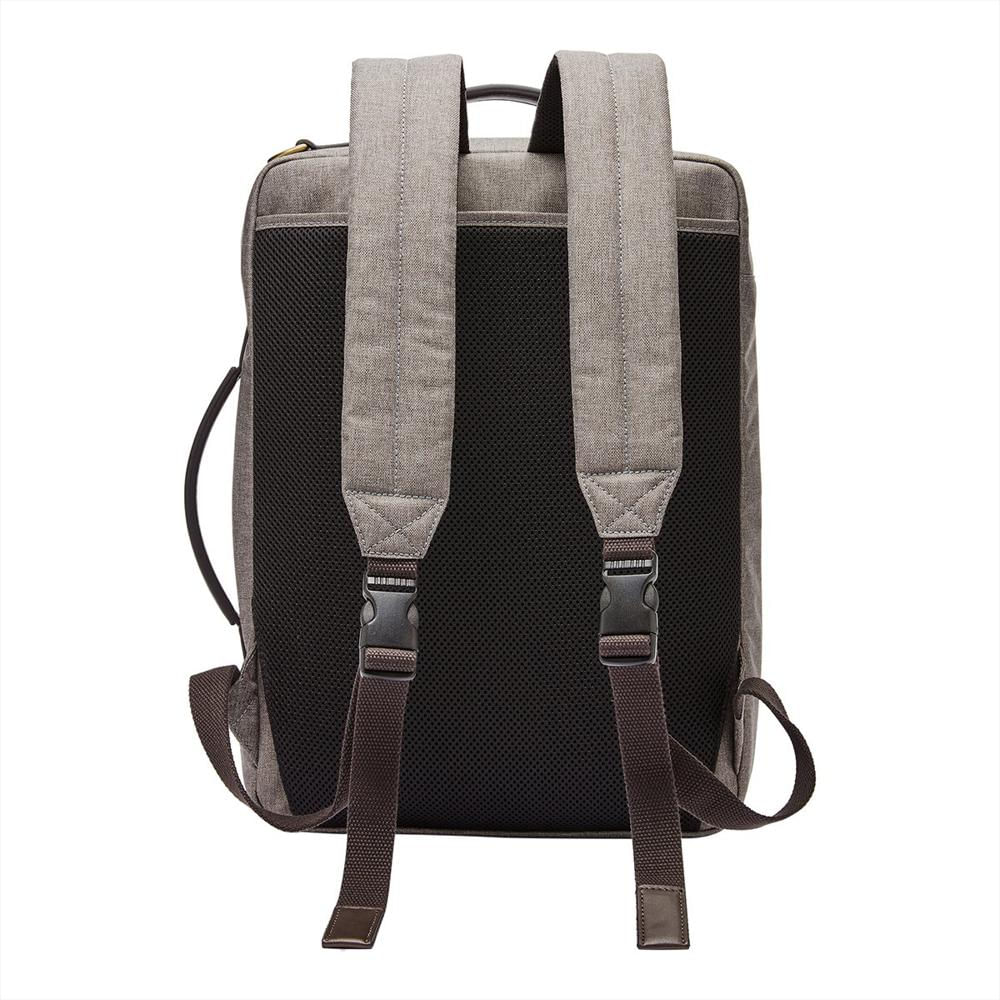 Morral fossil 2025