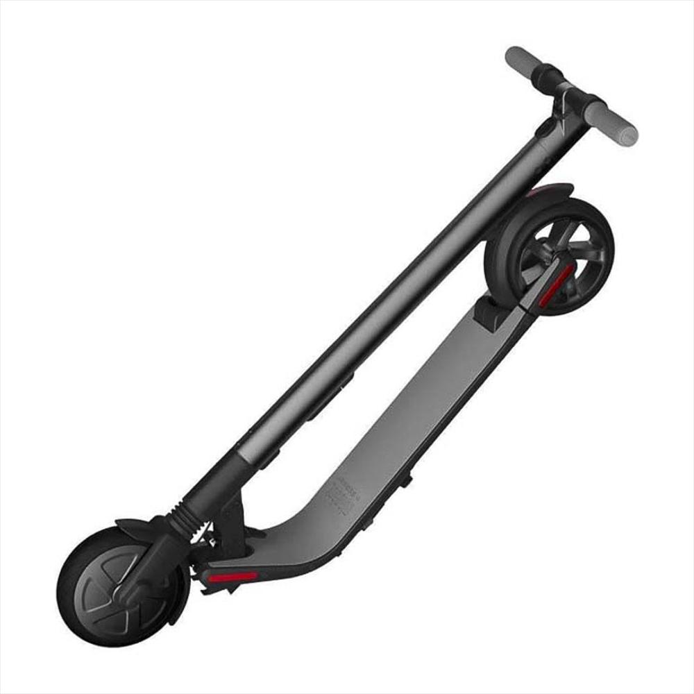 Patineta Eléctrica Scooter Ninebot By Segway Es2