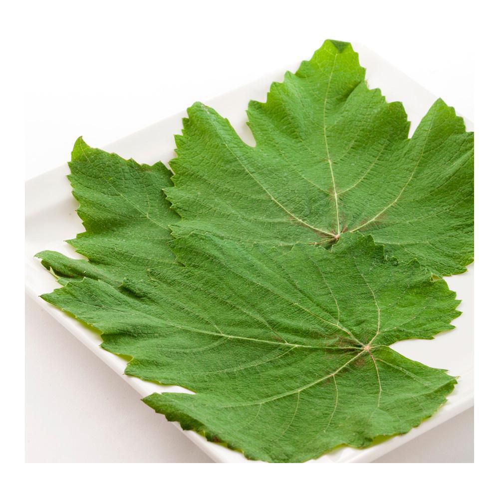 Arriba 95+ Foto comida tipica turca con hojas de parra El último Kenh