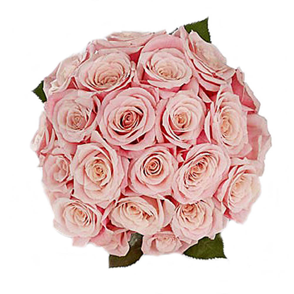 Bouquet de 24 Rosas Rosadas img #1