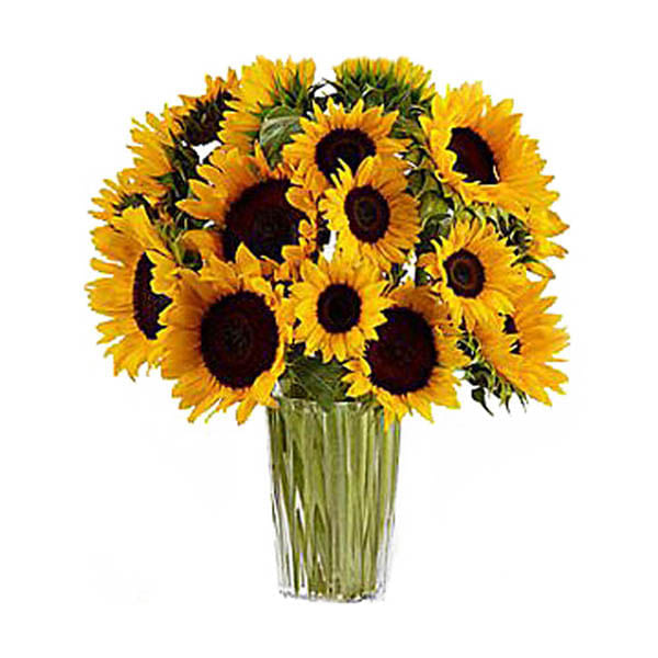 Girasoles img #1