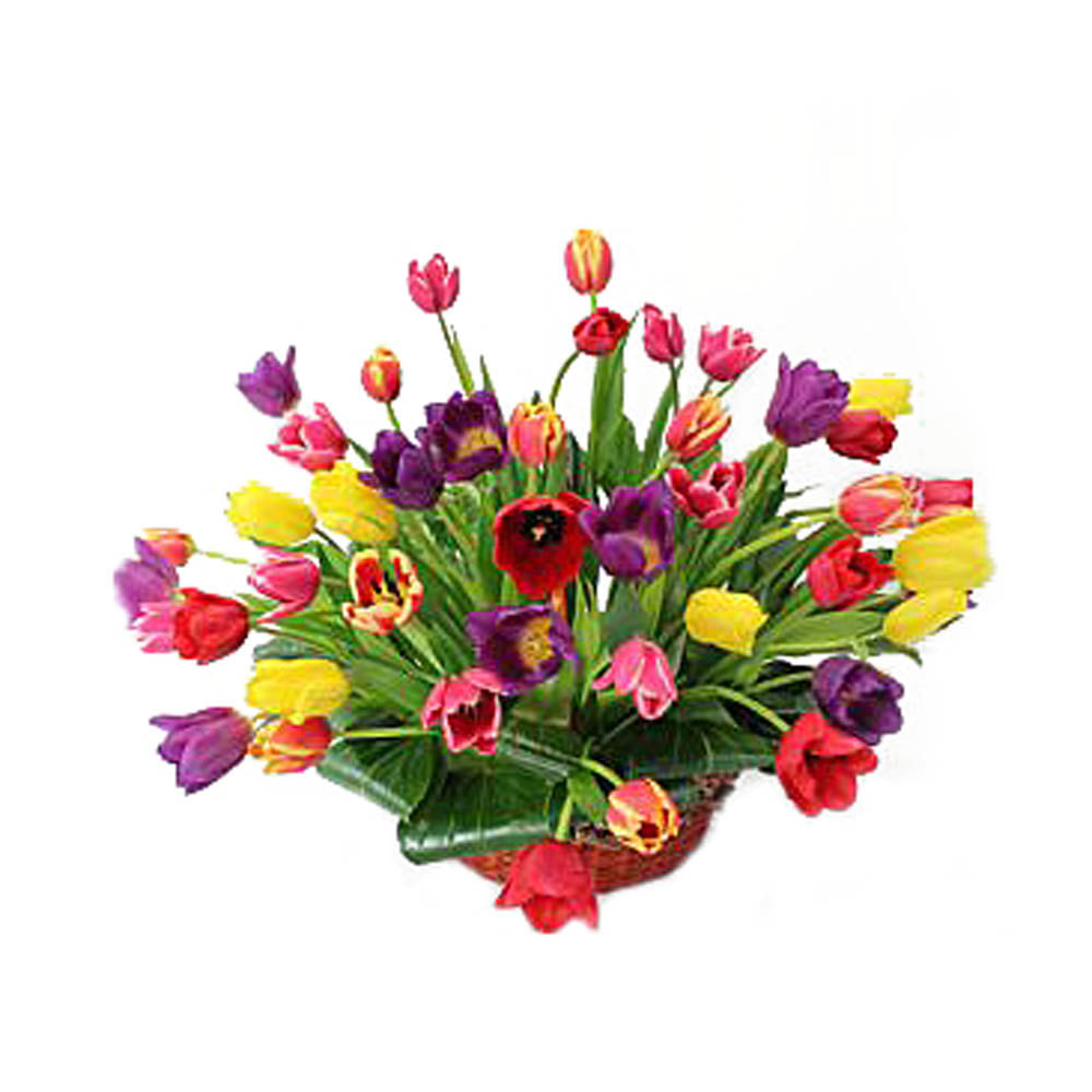 Canasta Tulipanes N. 50 img #1