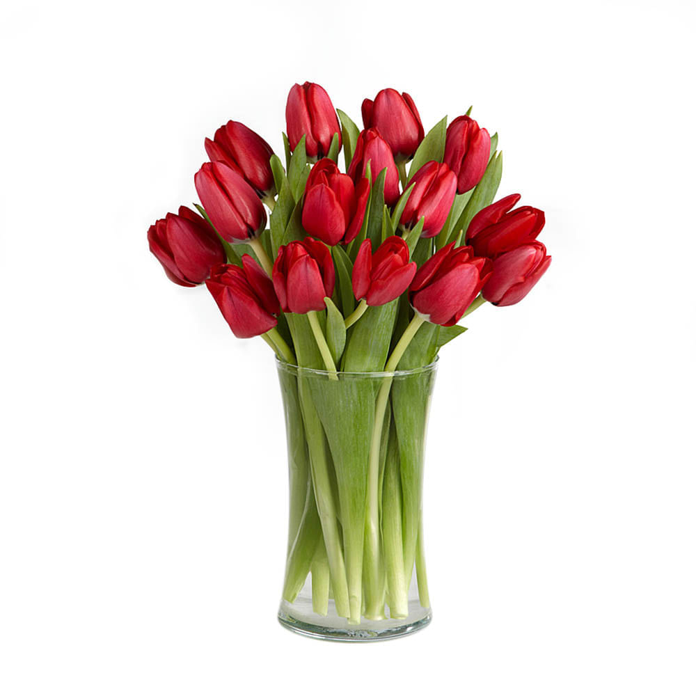 Jarrón 15 Tulipanes Rojos img #1