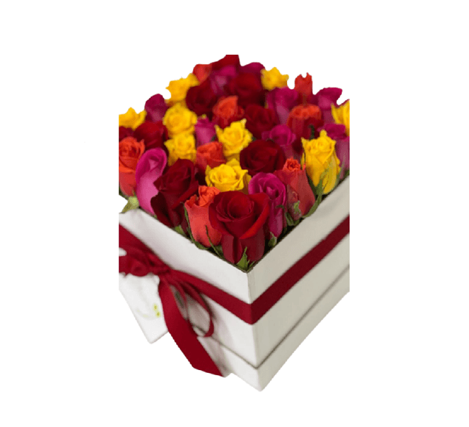 25 Rosas Surtidas Impresionista en Caja img #4