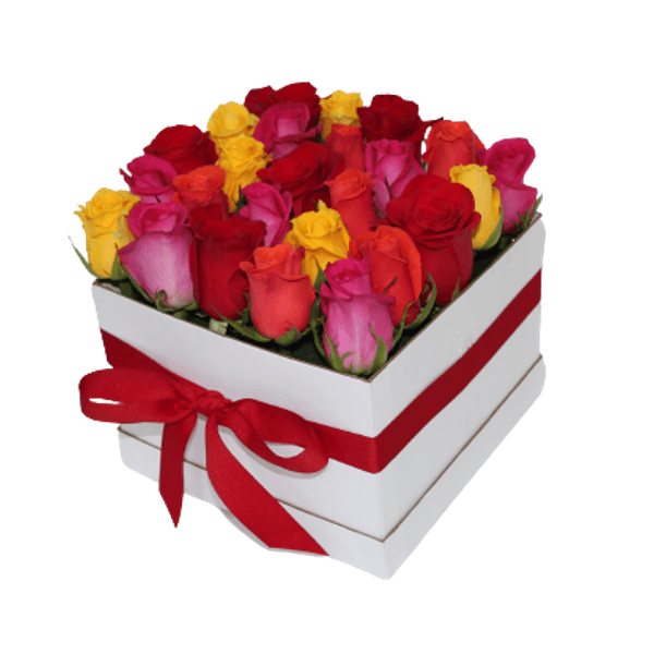 25 Rosas Surtidas Impresionista en Caja img #1