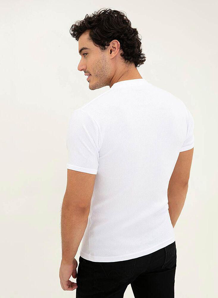 Camisea Lombardo GEF 5004