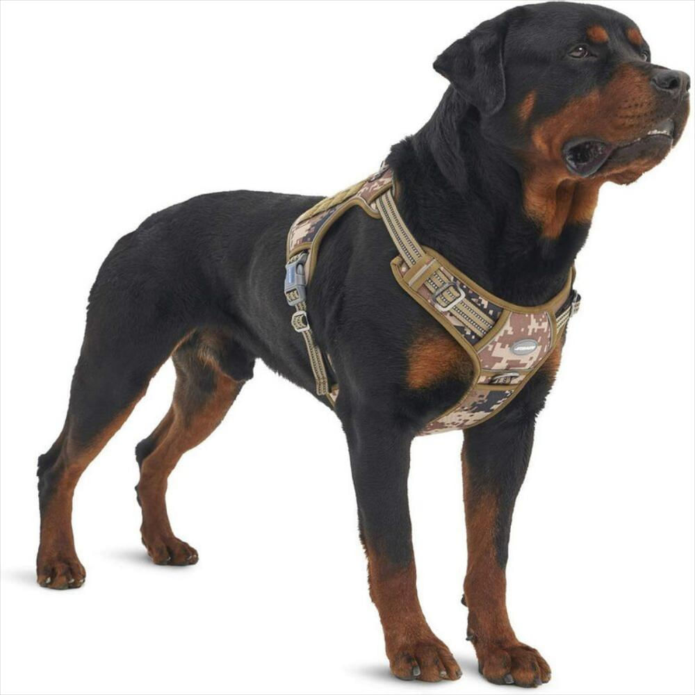image_bar_buy