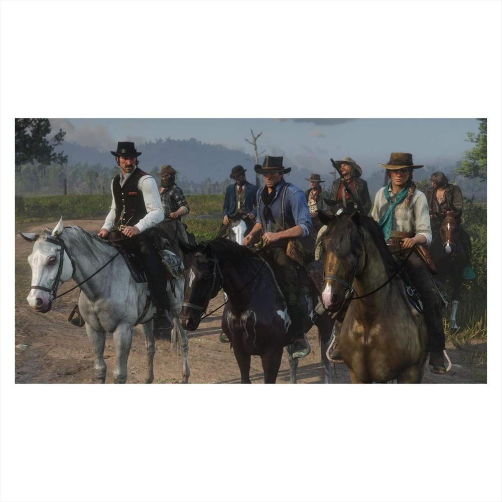 Red Dead Redemption 2 Ps4 Fisico img #2