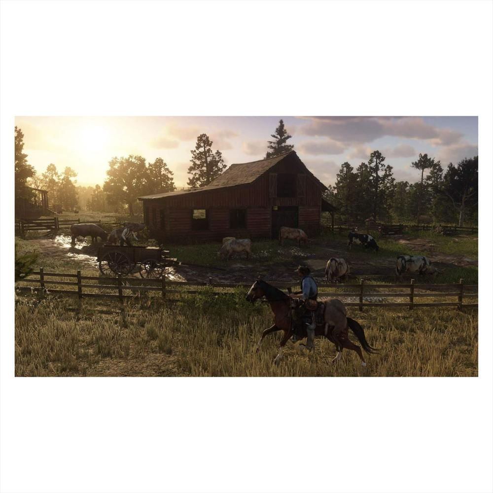 Red Dead Redemption 2 Ps4 Fisico img #3