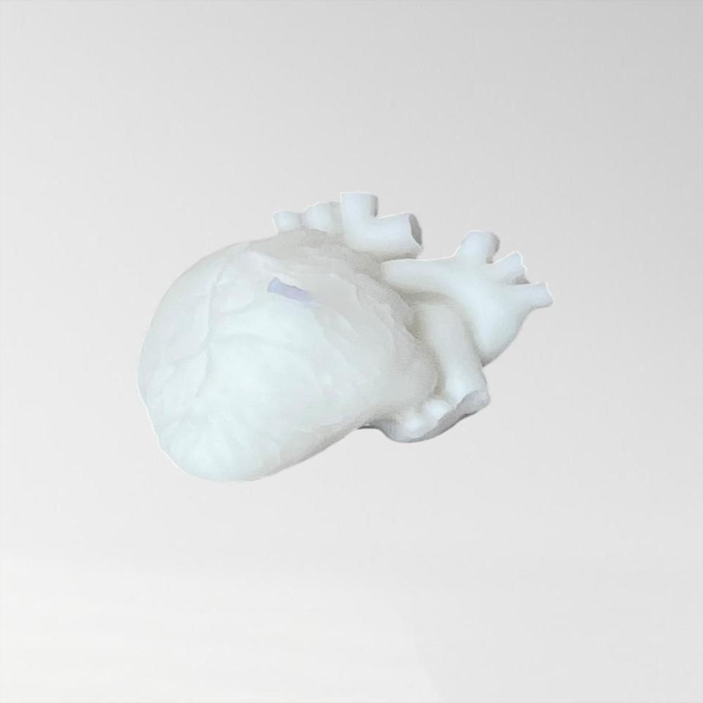 Vela Corazon Humano img #1
