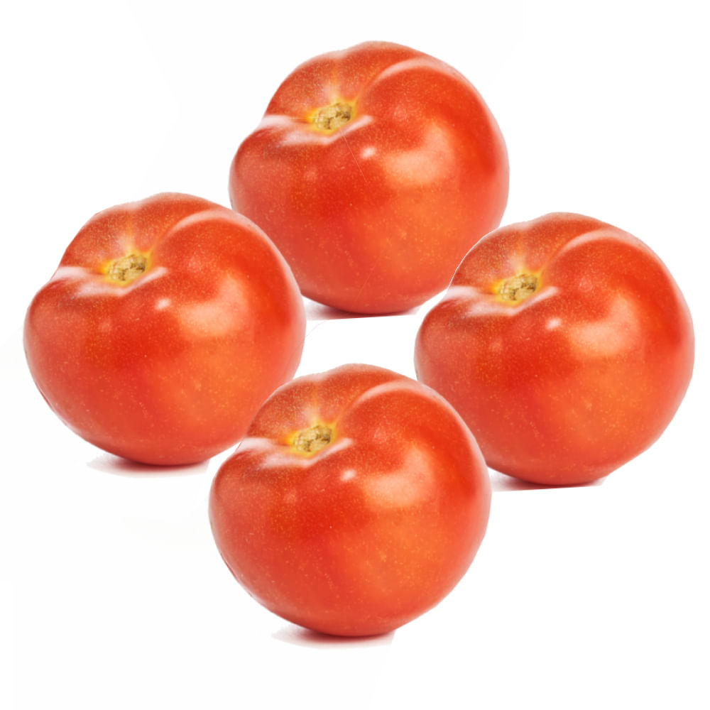 4 x Tomates Chonto img #1