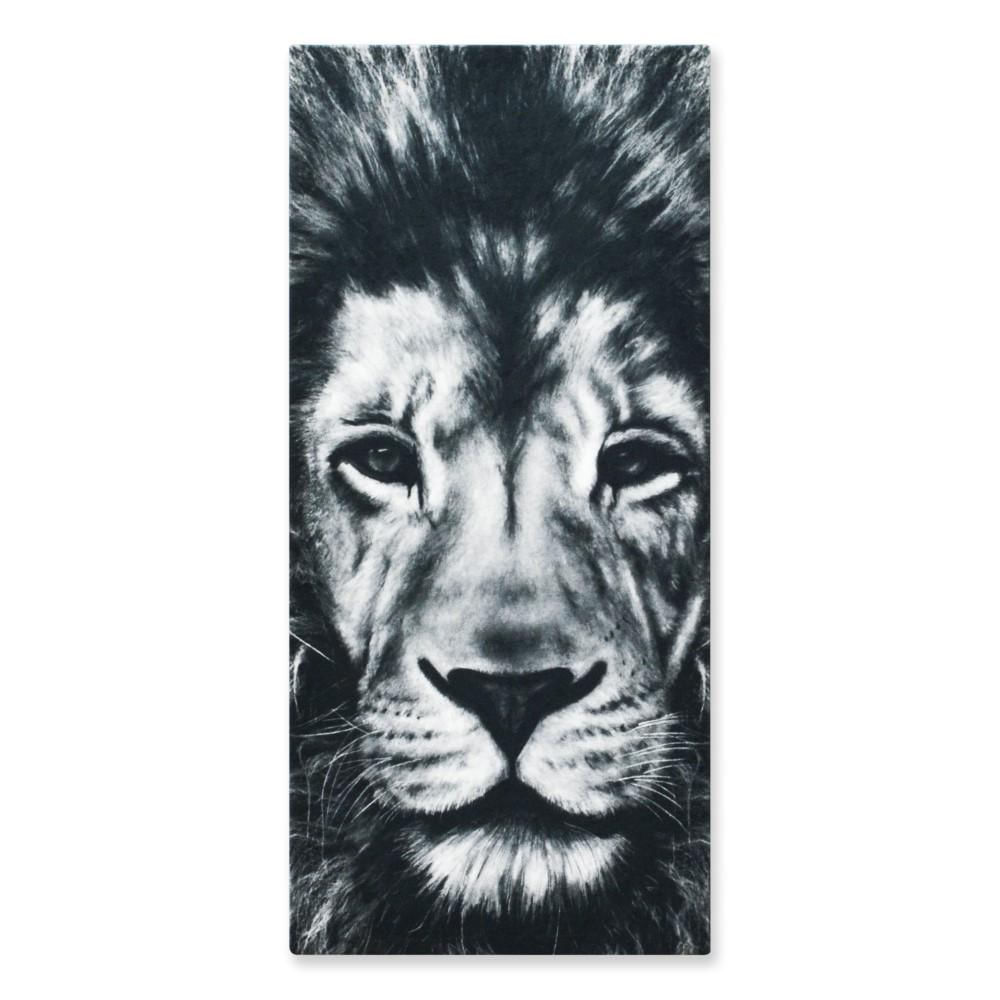 Cuadro León M rectangular img #1