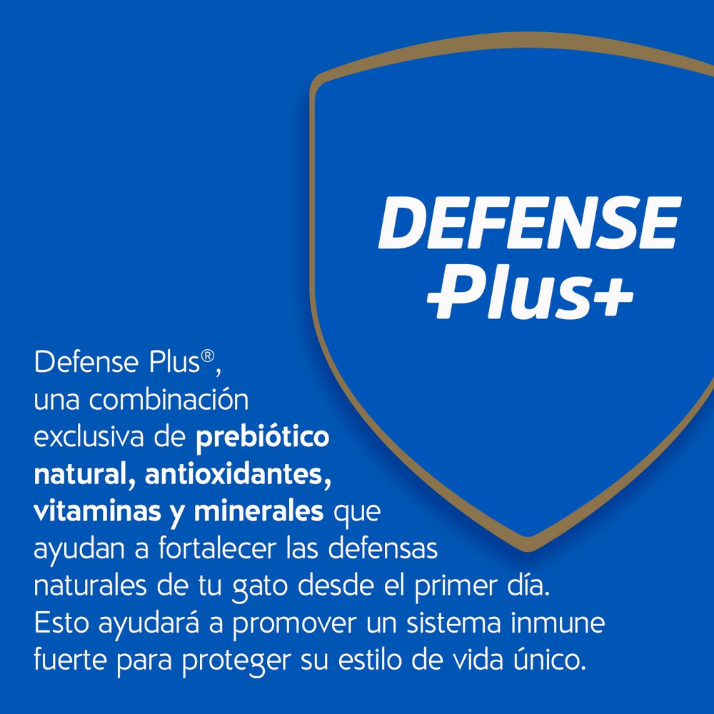 Alimento Para Gato PURINA CAT CHOW 500  gr img #7