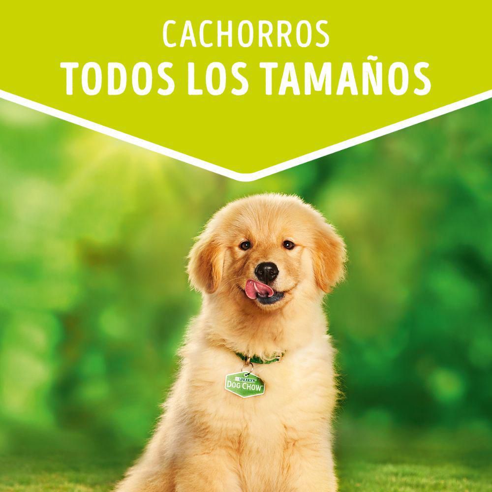 Alimento Humedo Pollo Cach PURINA DOG CHOW 100  gr img #3