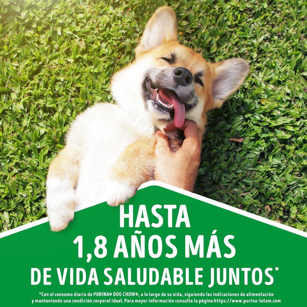 Alimento Humedo Pollo Cach PURINA DOG CHOW 100  gr img #7