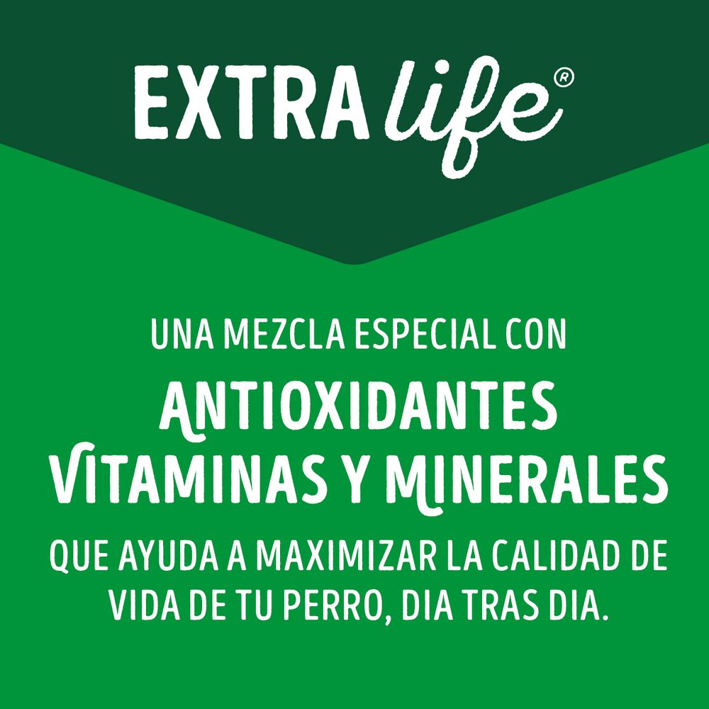 Alimento Humedo Pollo Cach PURINA DOG CHOW 100  gr img #9