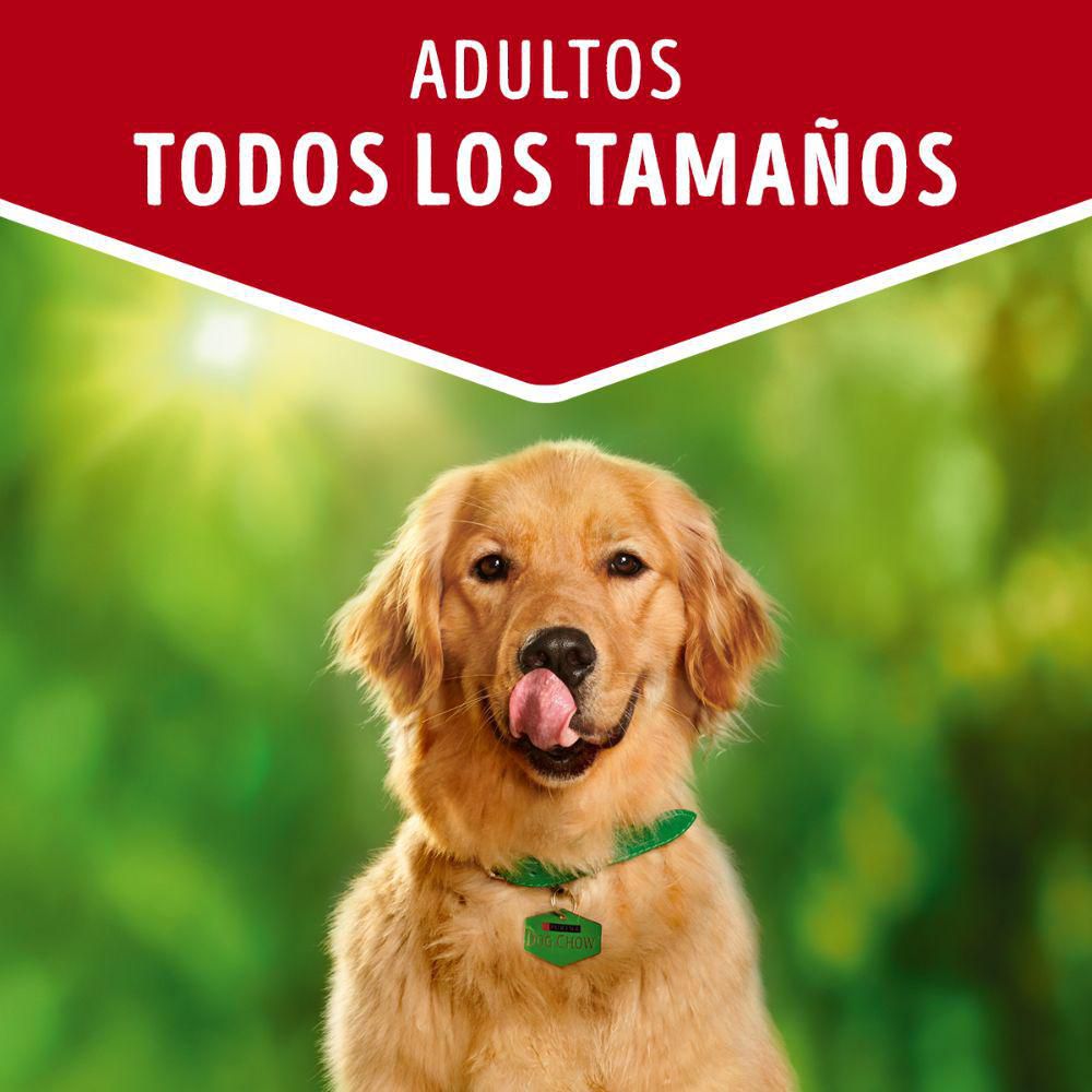 Alimento Humedo Carne Adulto PURINA DOG CHOW 100  gr img #3