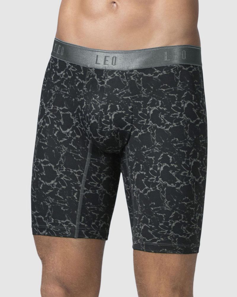 Boxer LEO