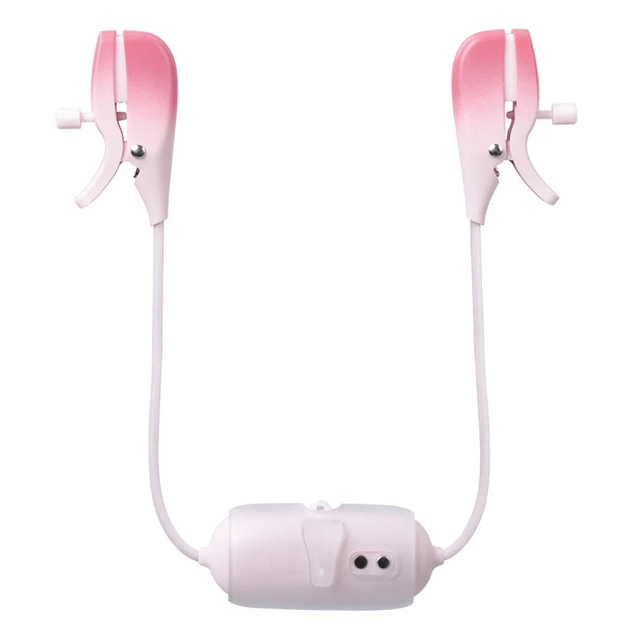 Kit webcam interactivo silver gemini img #5