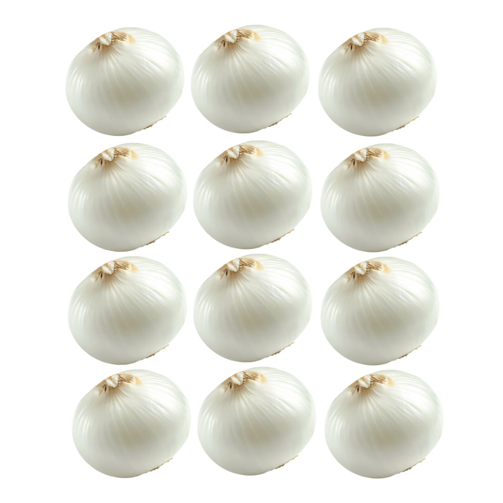 12 x Cebolla Blanca img #1
