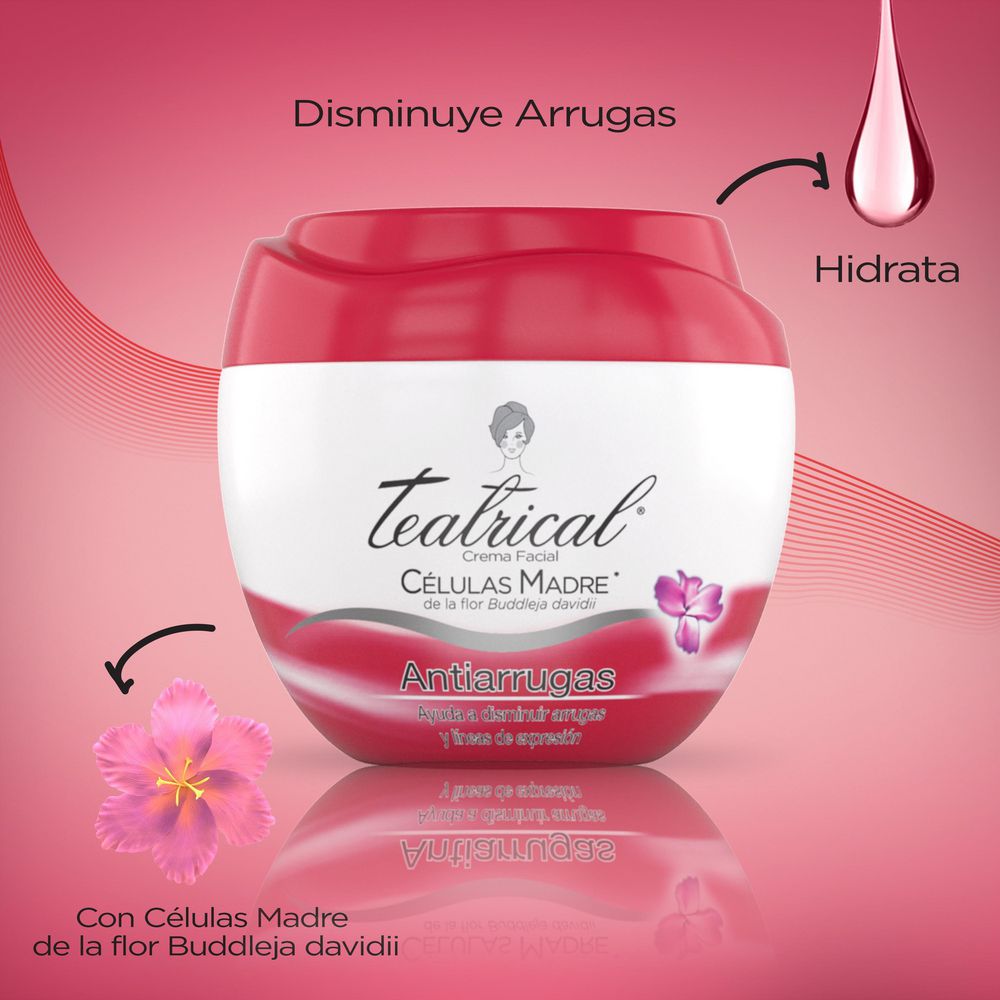 Crema facial TEATRICAL antiarrugas (100  gr) img #4