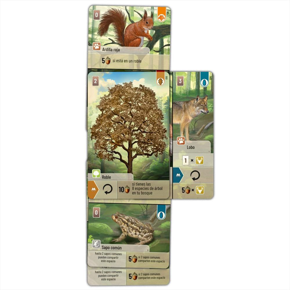 Forest Shuffle Juego De Mesa img #3