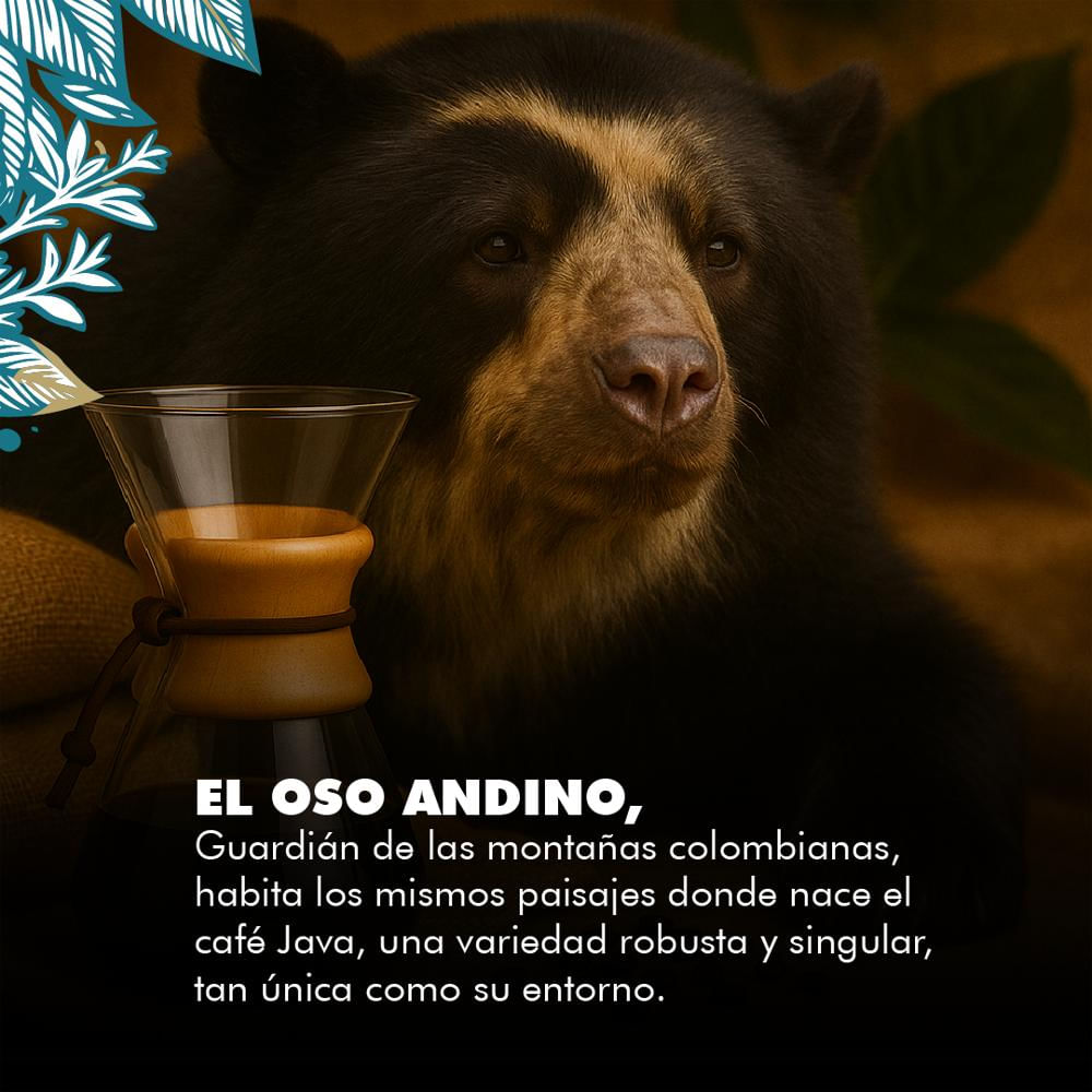 Café Colombian Traders Java Lavado Grano (250Gr) img #4