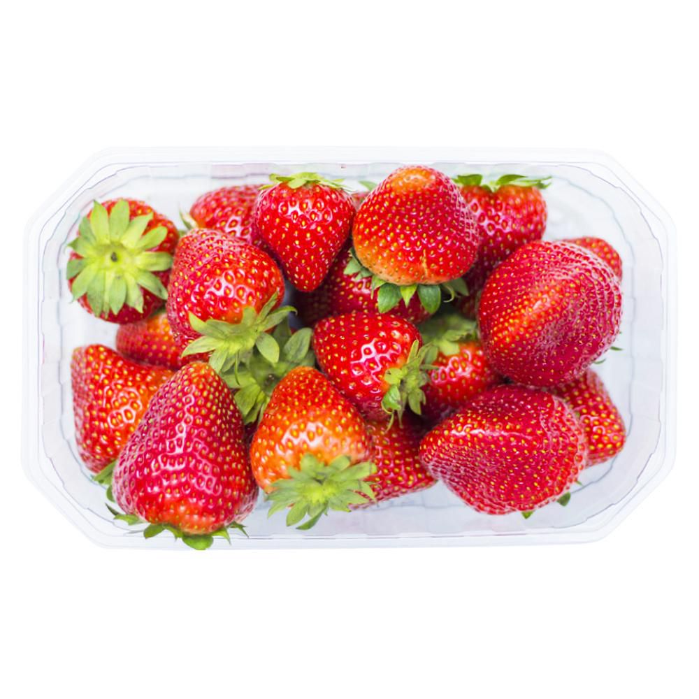 Fresa Extra   500  gr img #1