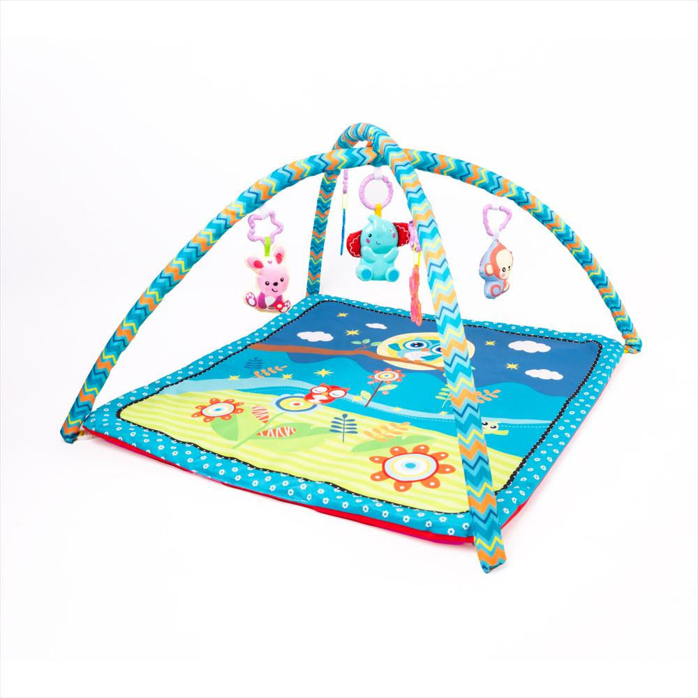 Gimnasio Didactico Bium Rectangular img #1