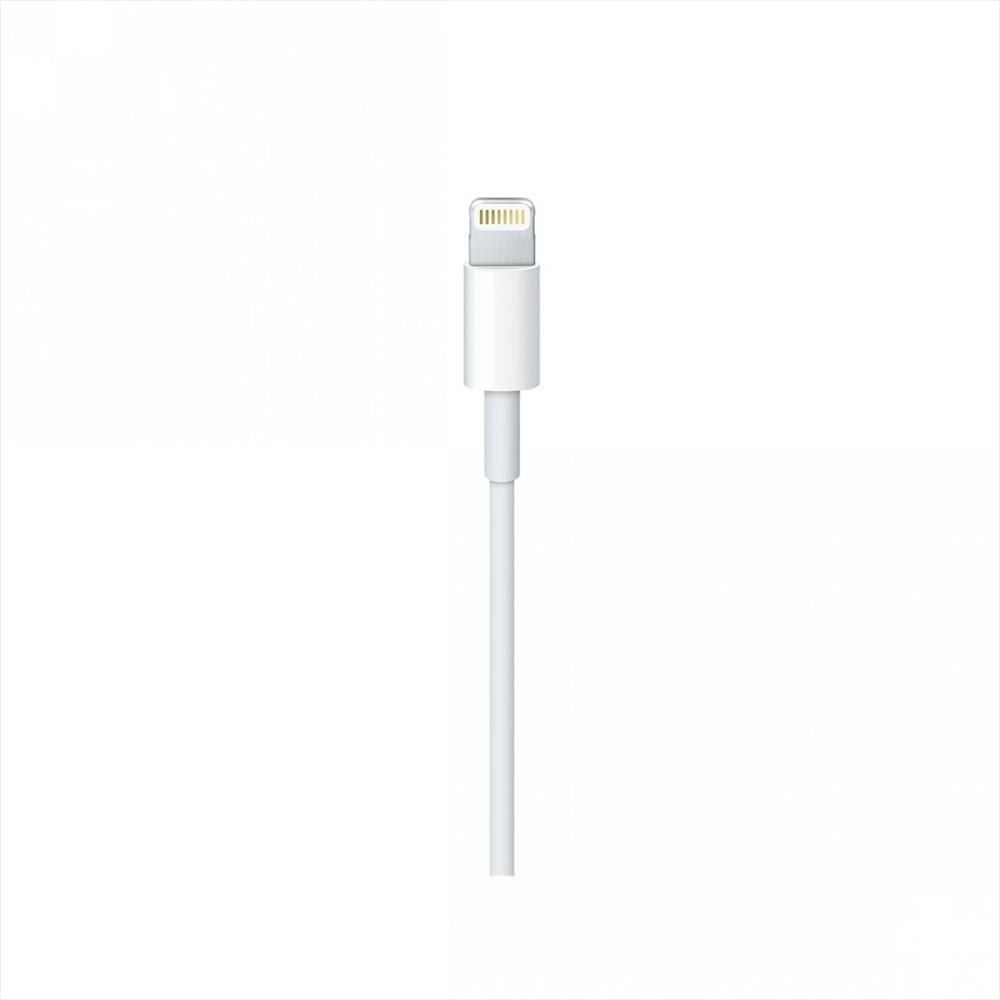 Cable Original Apple Usb Tipo C A Conector Lightning 2 Metros img #5