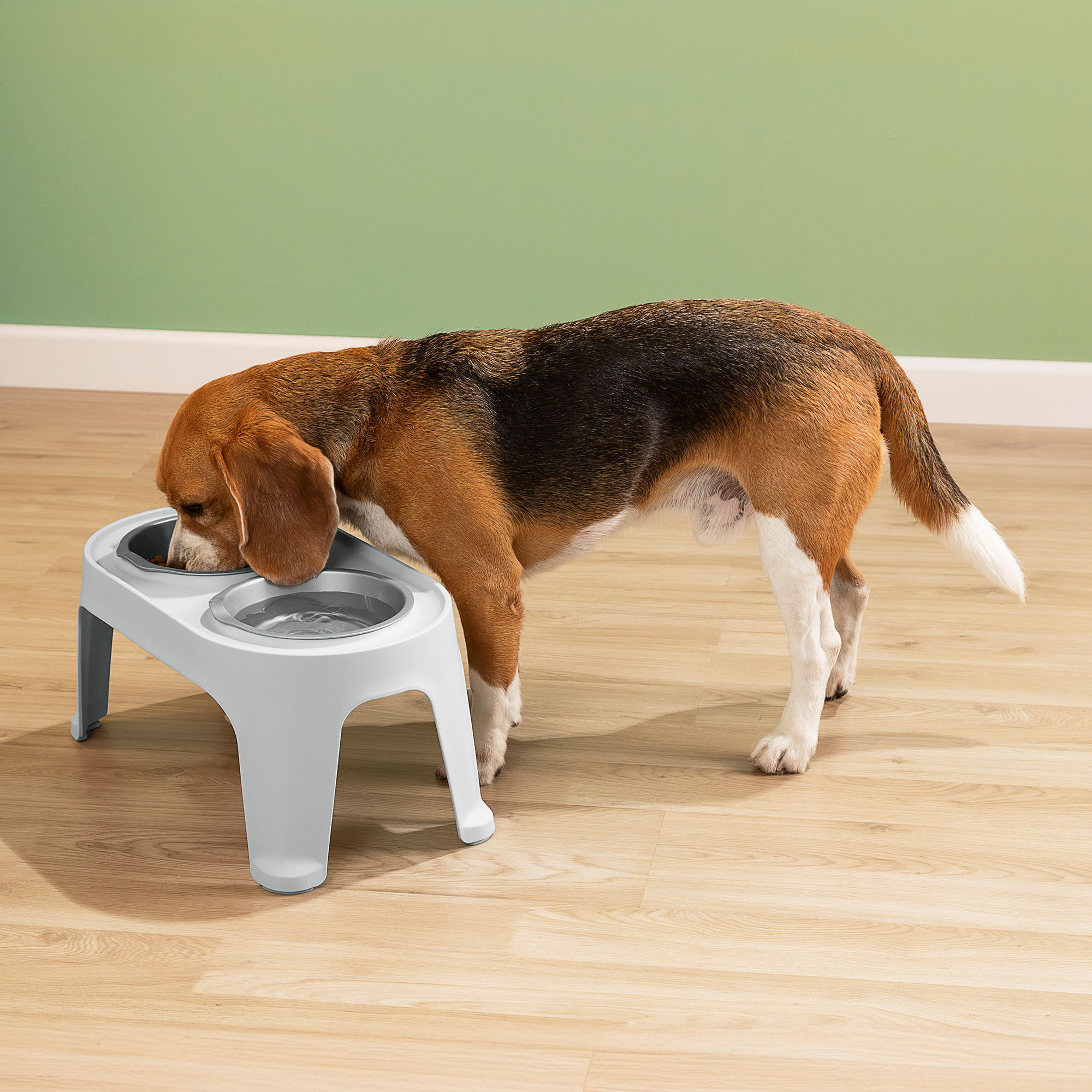 Comedero Alto para Perro Medium img #2