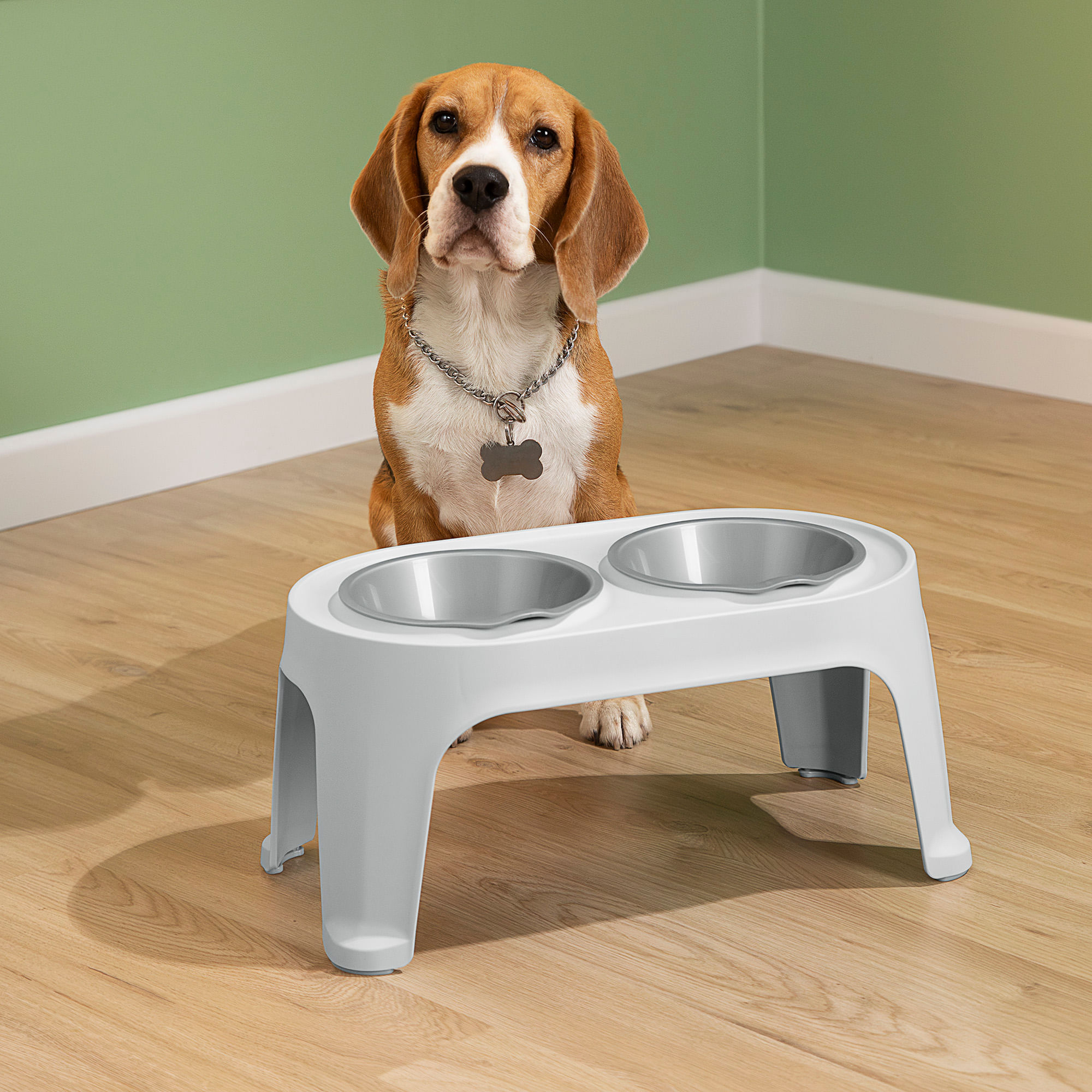 Comedero Alto para Perro Medium img #1