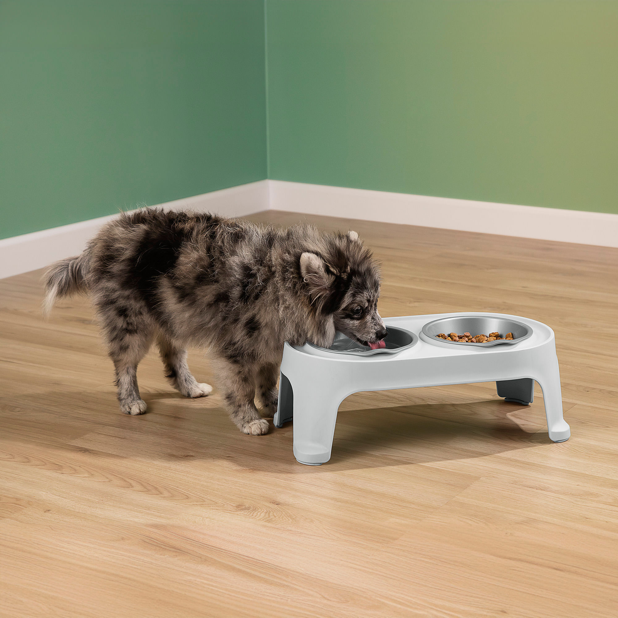 Comedero Alto para Perro Small img #6