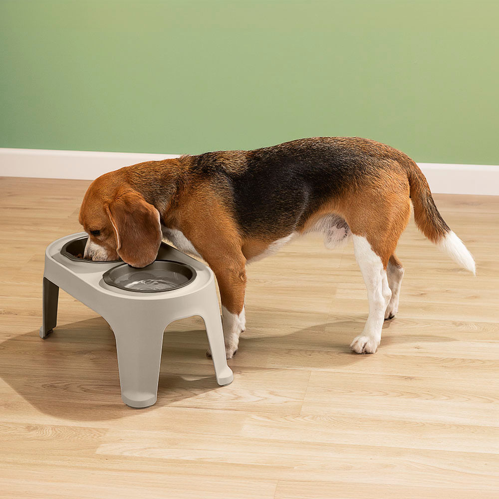 Comedero Alto para Perro Medium img #2