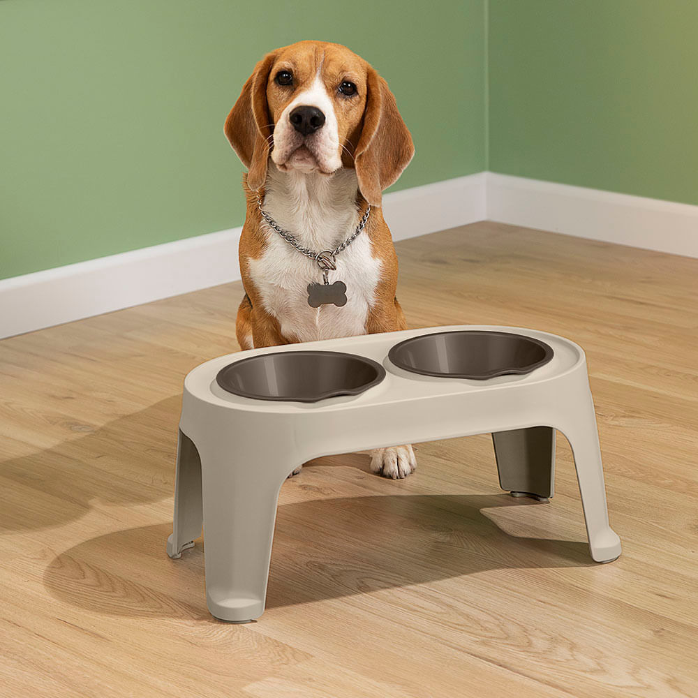 Comedero Alto para Perro Medium img #1