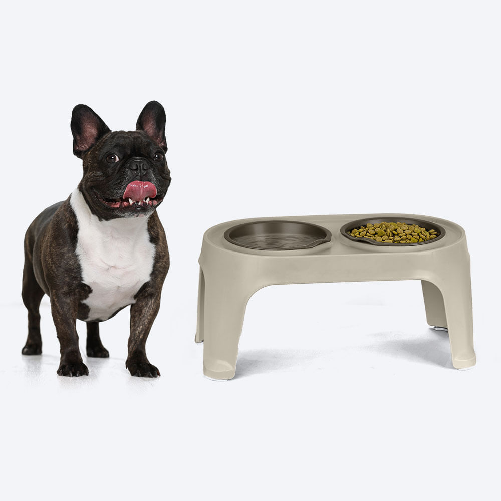 Comedero Alto para Perro Medium img #4