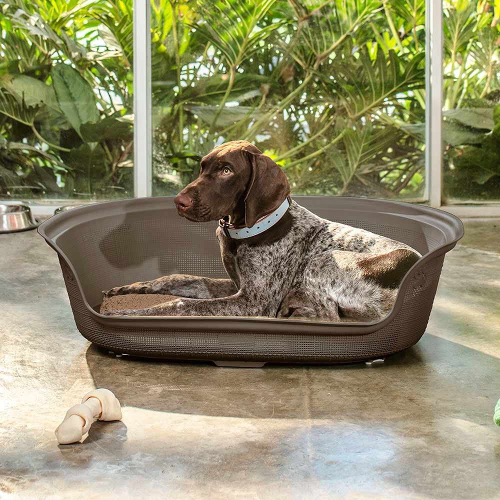 Cama para Perro img #2