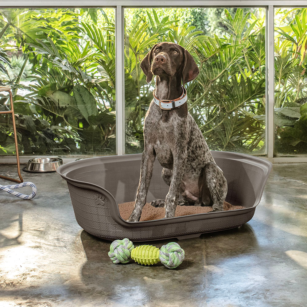 Cama para Perro img #1