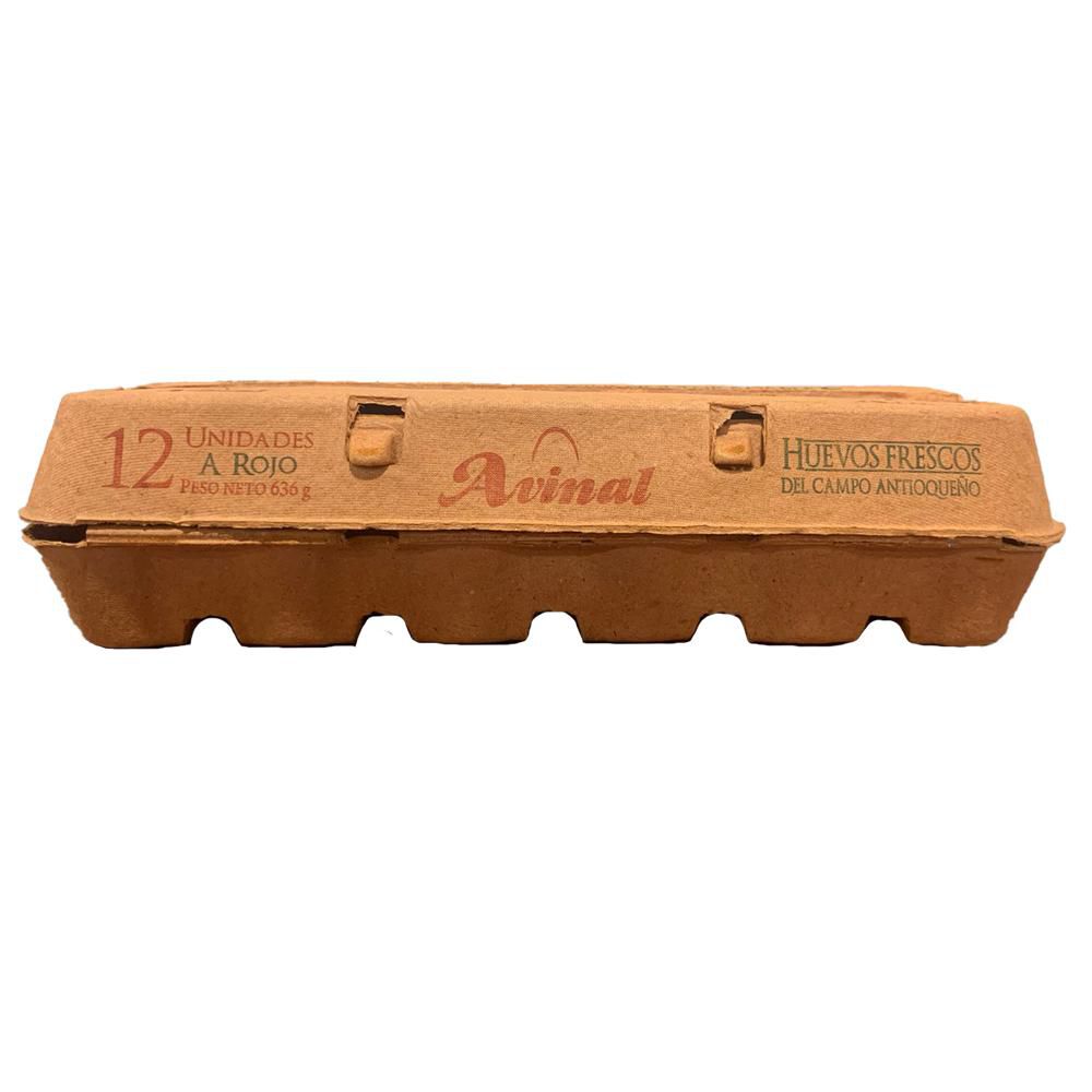 Huevos A AVINAL rojo (12  und) img #1