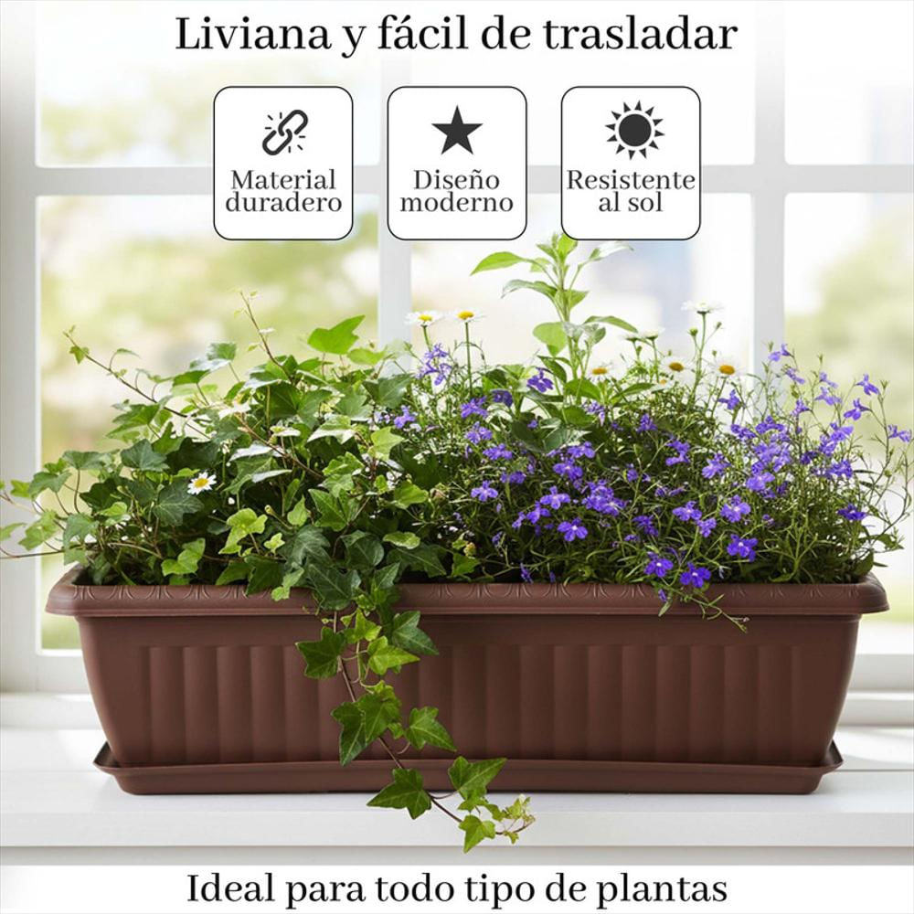 Matera Rectangular Con Plato 55 Cm Para Jardín Y Hogar img #3