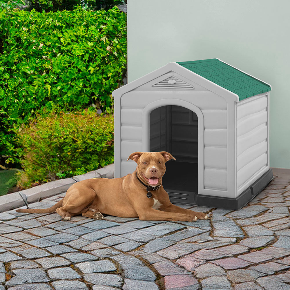 Combo Mascota Casa Razas Medianas y Grandes  Comedero Alto para Perro Medium Verde img #2