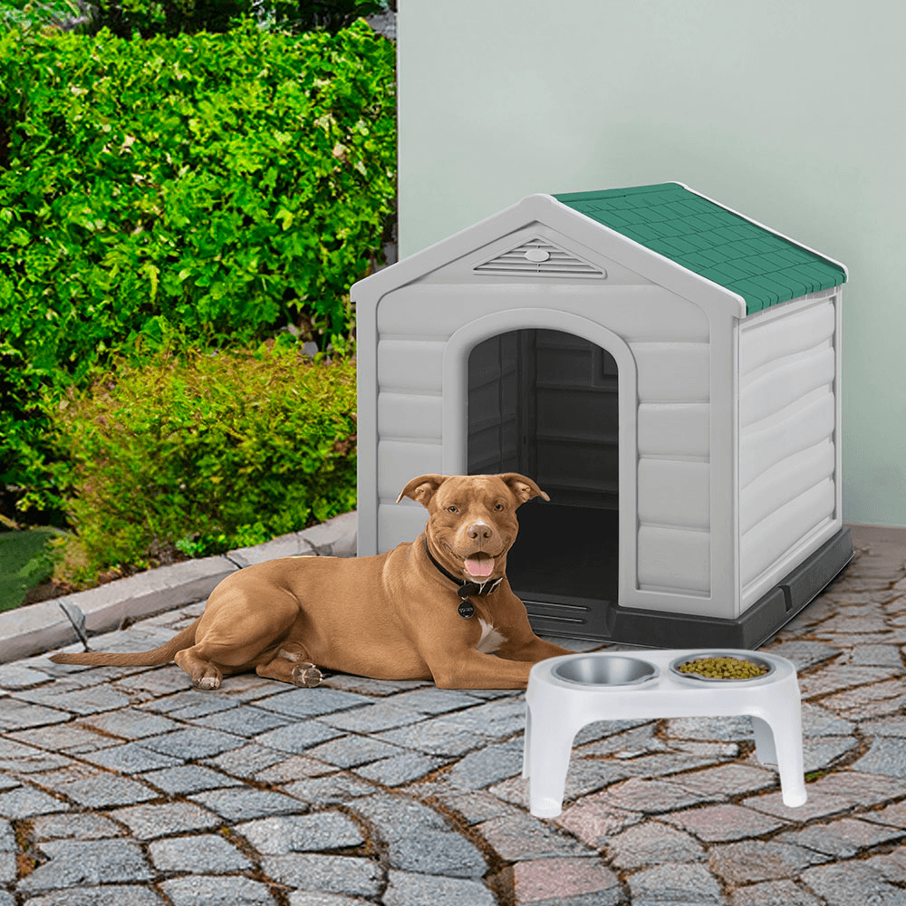 Combo Mascota Casa Razas Medianas y Grandes  Comedero Alto para Perro Medium Verde img #1