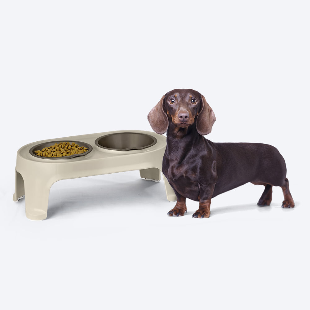 Comedero Alto para Perro Small img #3