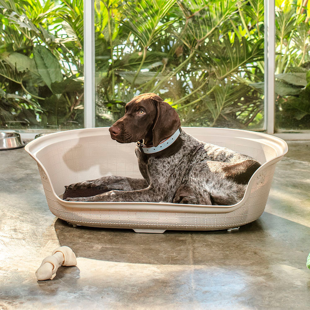 Cama para Perro img #2