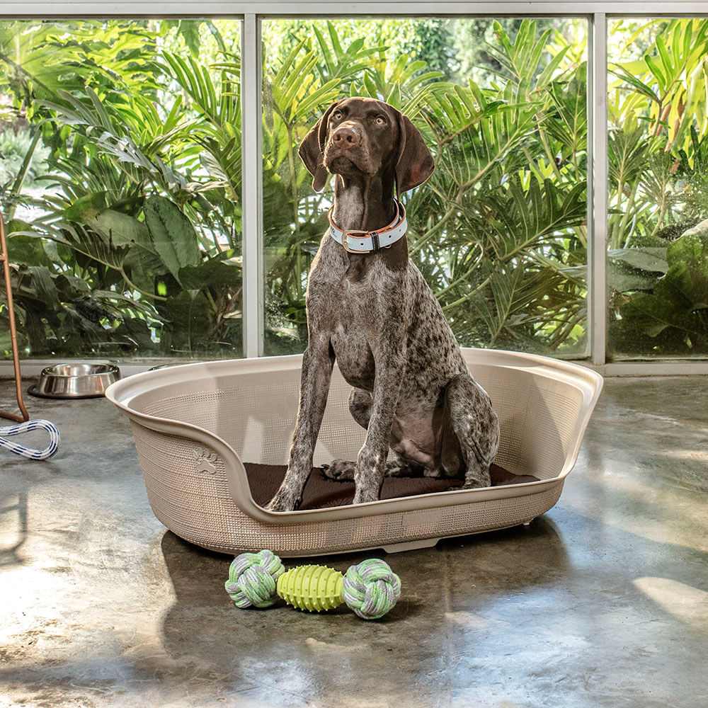 Cama para Perro img #1