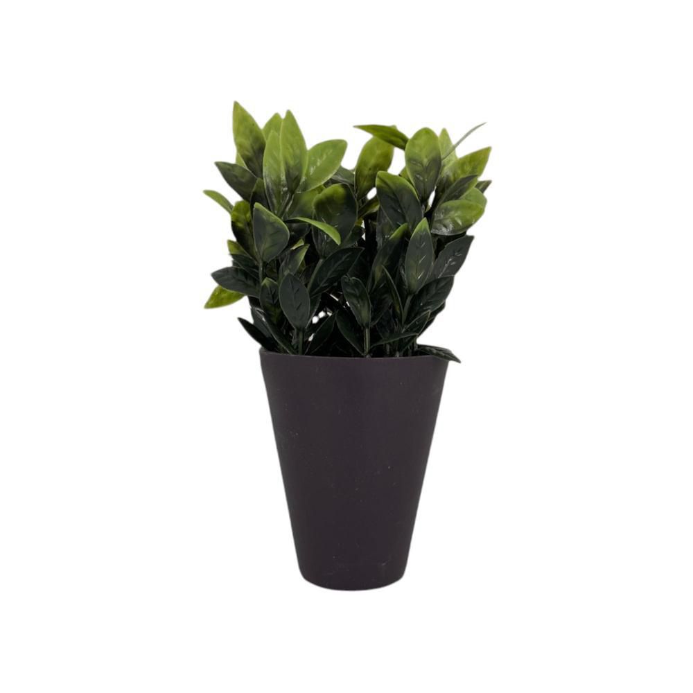 Planta Con Pote Laurel CONCEPTS 592301396 img #1
