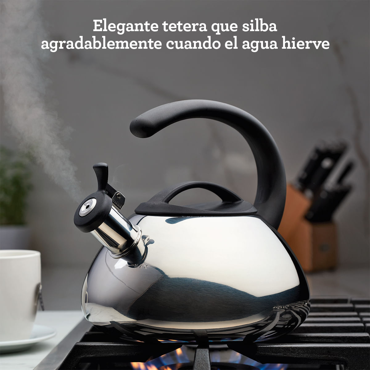 Tetera con silbido, 2.1L,  cuerpo en acero inoxidable, placa de inducción.  Farberware. img #8