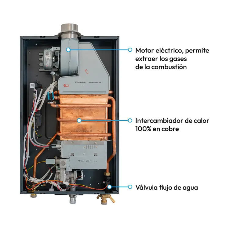 Calentador de paso Challenger 12 Litros Tiro Forzado Gas Natural HWD7125 Negro img #7