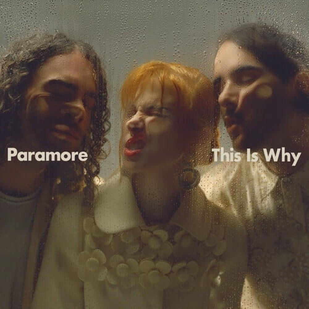 Disco Vinilo This Is Why Paramore img #2